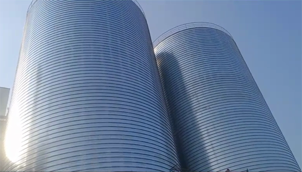 江汉2座混凝土高架卷板仓